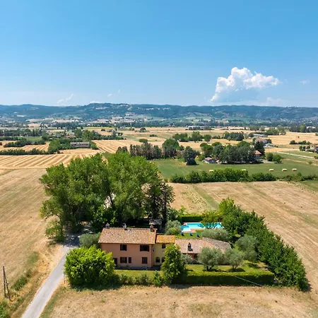 Reale By Posarellivillas