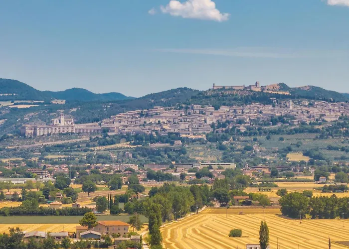 Reale By Posarellivillas Vila *