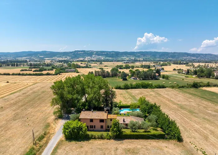 Reale By Posarellivillas